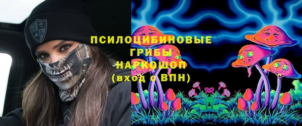 герыч Алзамай